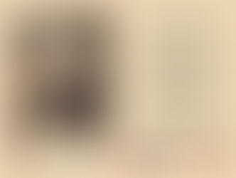 Seminário/Oficina
LIVRO RARO: formação e gestão de coleções bibliográficas especiais