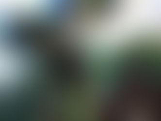 2 de julho - Independência do Brasil na Bahia - onfira programação completa