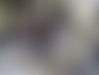 IGHB inicia restauração de acervo da sala Dom Pedro II