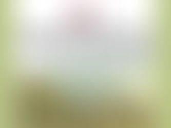 "Algumas notas sobre o processo da Independência do Brasil na Bahia" é tema de conferência