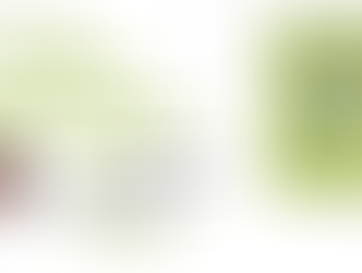 Livro 'Cartas trocadas', da escritora Rosana Almeida, será lançado dia 27 de novembro, na sede do IGHB