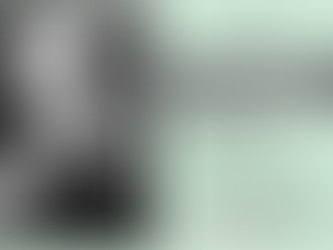 Sessão especial homenageia os 170 anos do nascimento de Ruy Barbosa