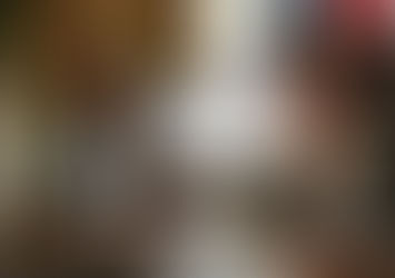 Alice Portugal homenageia a historiadora Consuelo Pondé de Sena