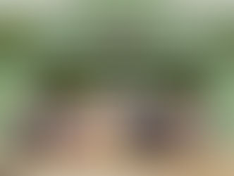 IGHB participa de Colóquio nacional de Institutos Históricos 