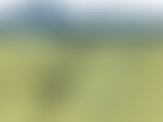 IGHB apoia  Centenário de nascimento de Rômulo Almeida