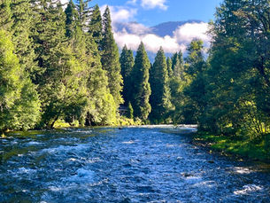 Cycling Day 23: Belknap Hot Springs Resort to Coburg, OR- 65.2 miles and 888’ elevation gain