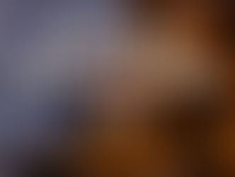 Notas de Atualização (Updates)