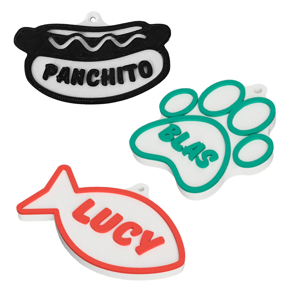 Thumbnail: Manual Plaquitas para mascota ID