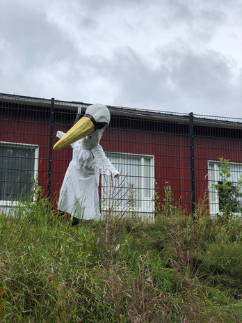 Photo 22.8.2020, 14.03.03.jpg