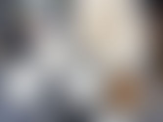 武雄丸大豆醬油魯苦瓜