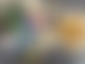 ✨醬燒蔥爆白斬雞✨