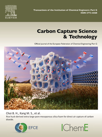 Rice husk-derived extra-large-pore mesoporous silica foam for direct air capture of carbon dioxide