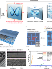 A Seamless Auxetic Substrate with a Negative Poisson’s Ratio of -1