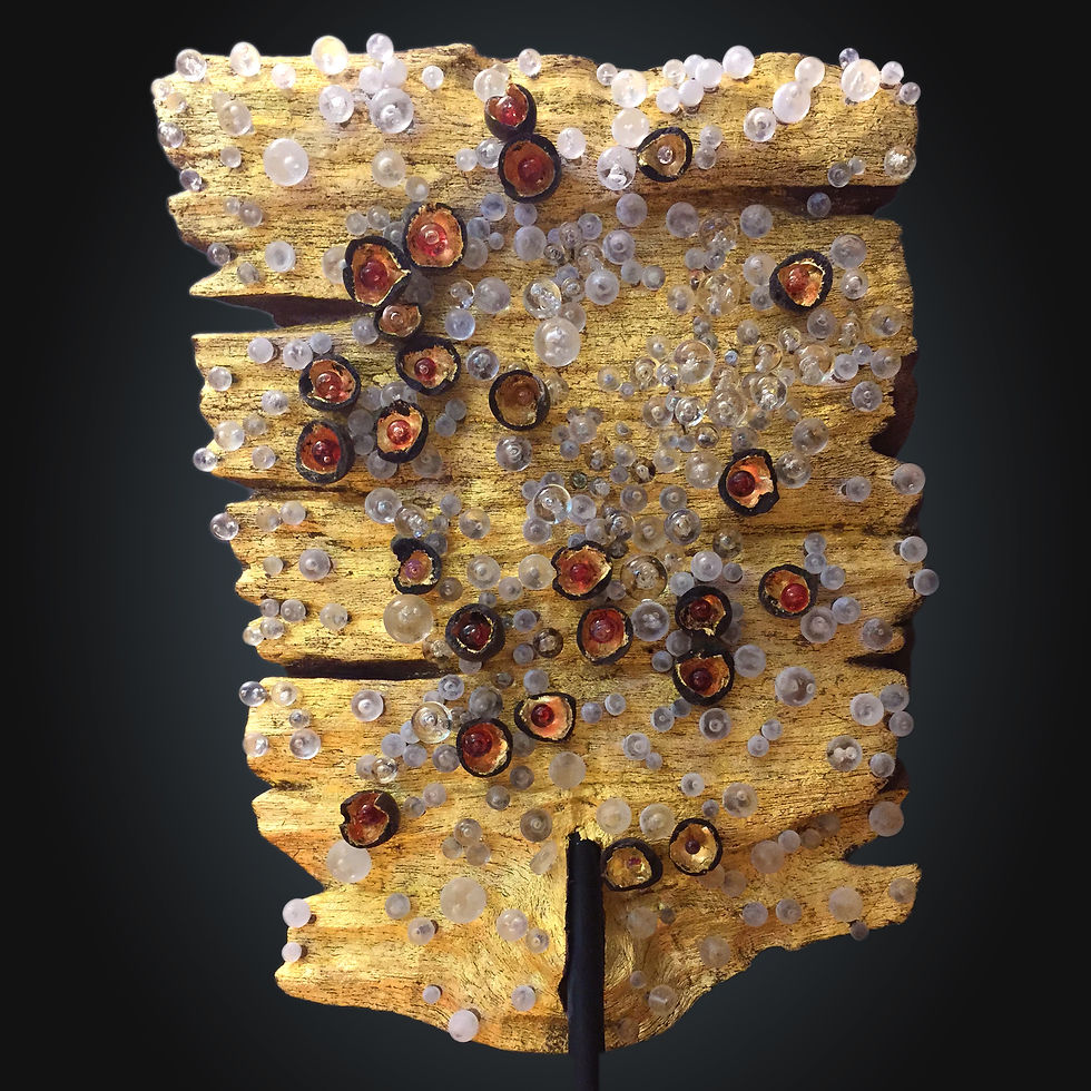 EPIDERMIS