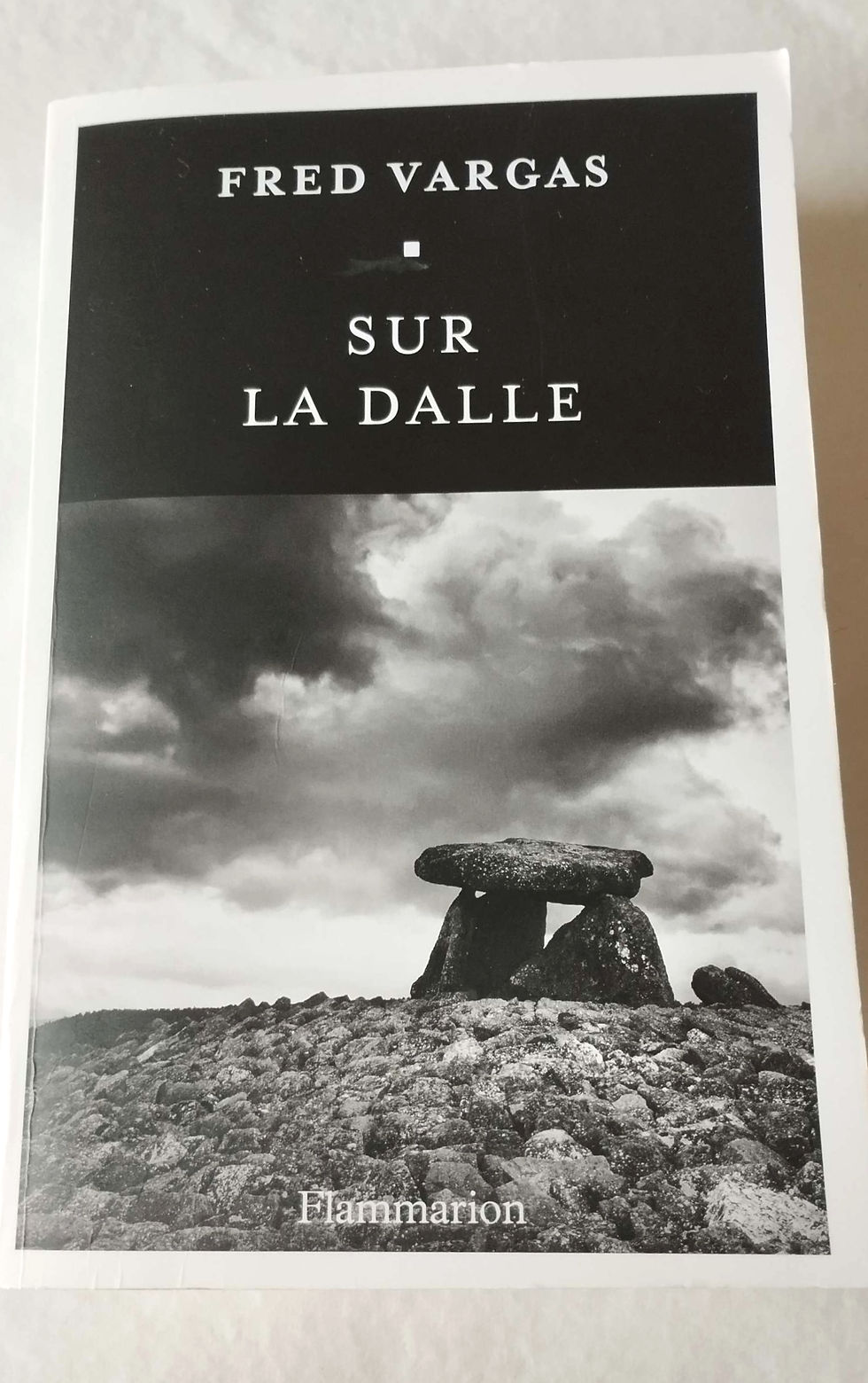 Sur la dalle de Fred Vargas