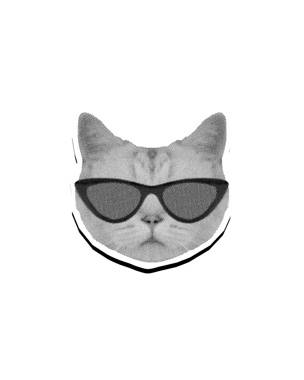 Design sem nome (57) 1