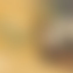 Os últimos passos do ano…