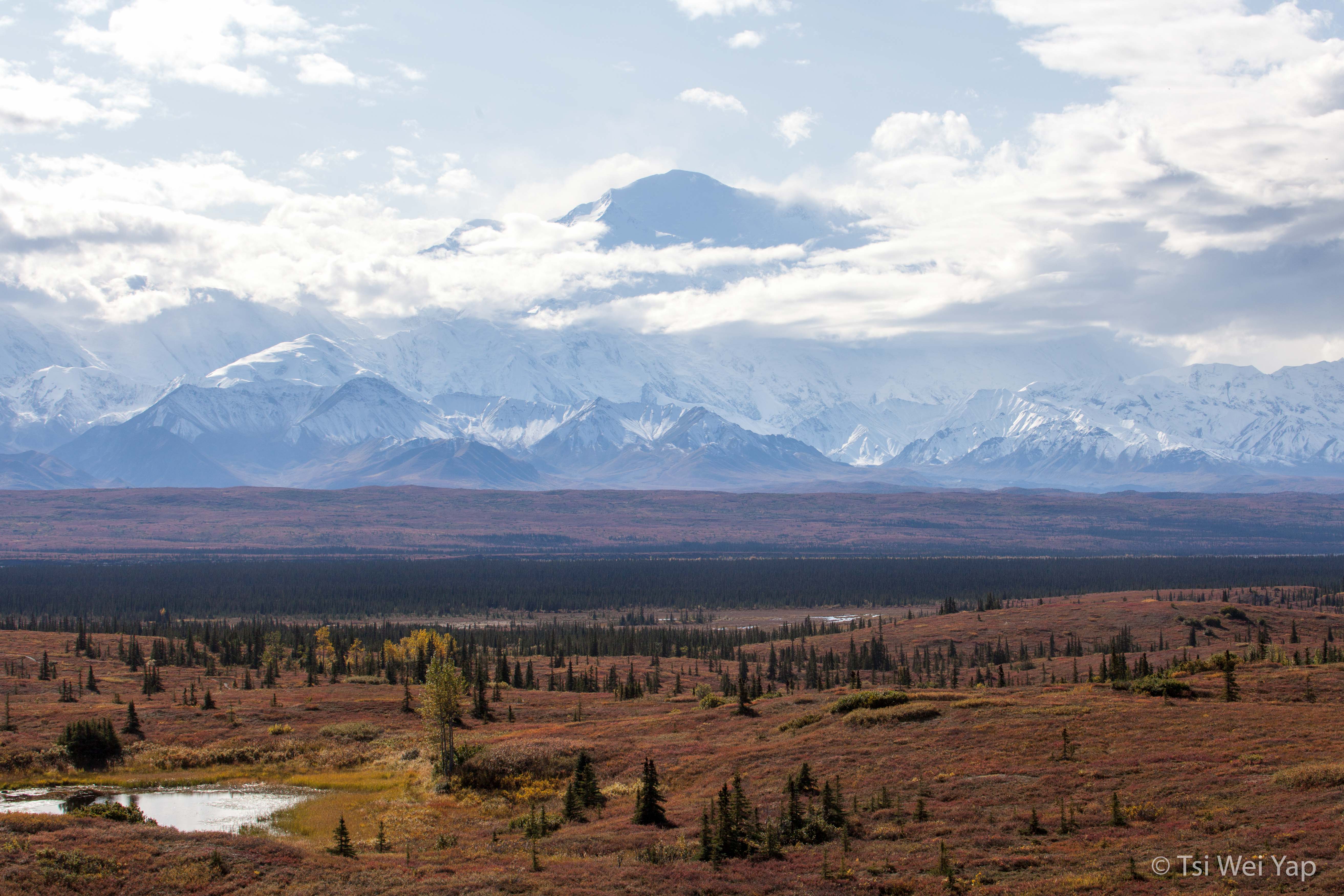 Alaska-1565