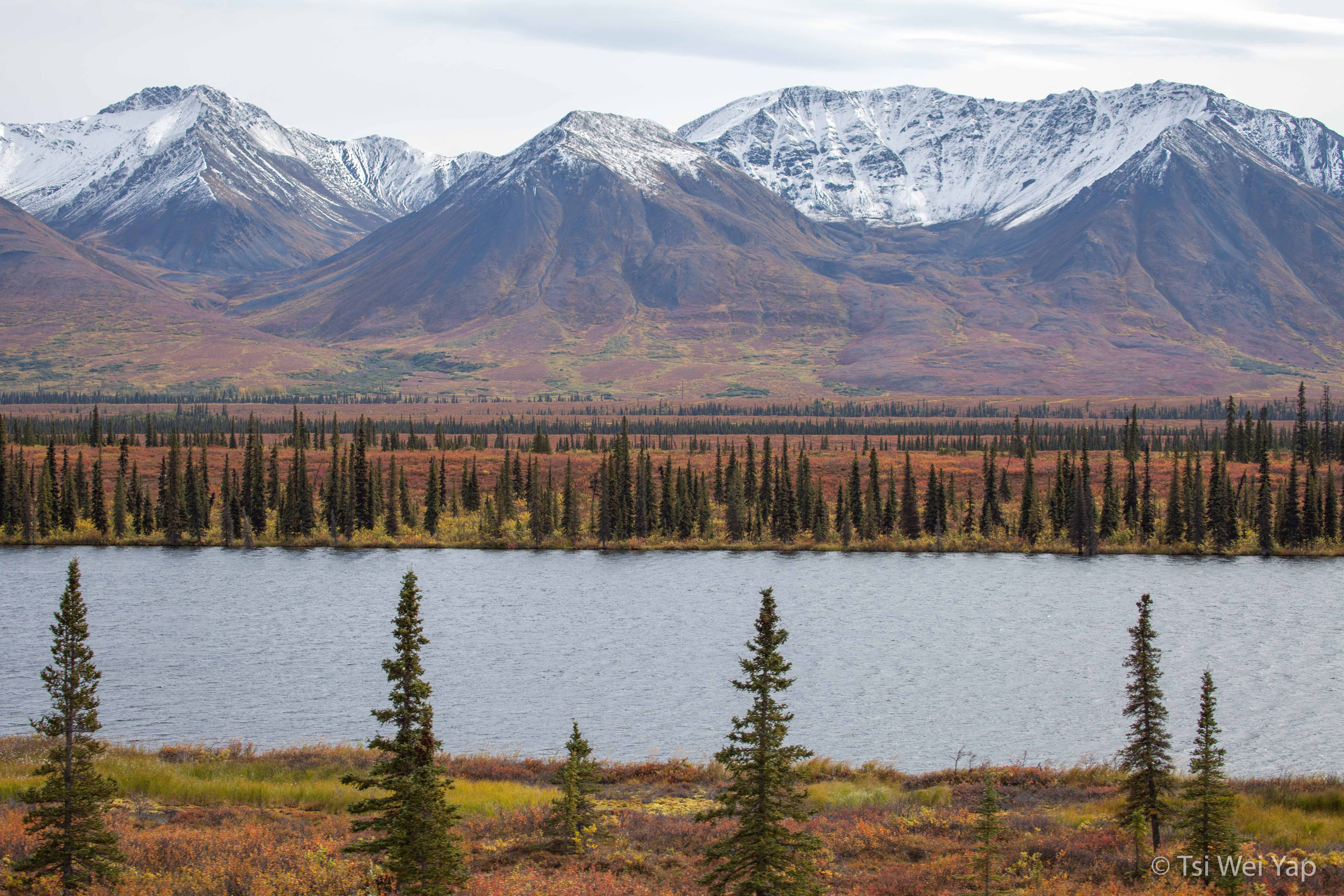 Alaska-1203
