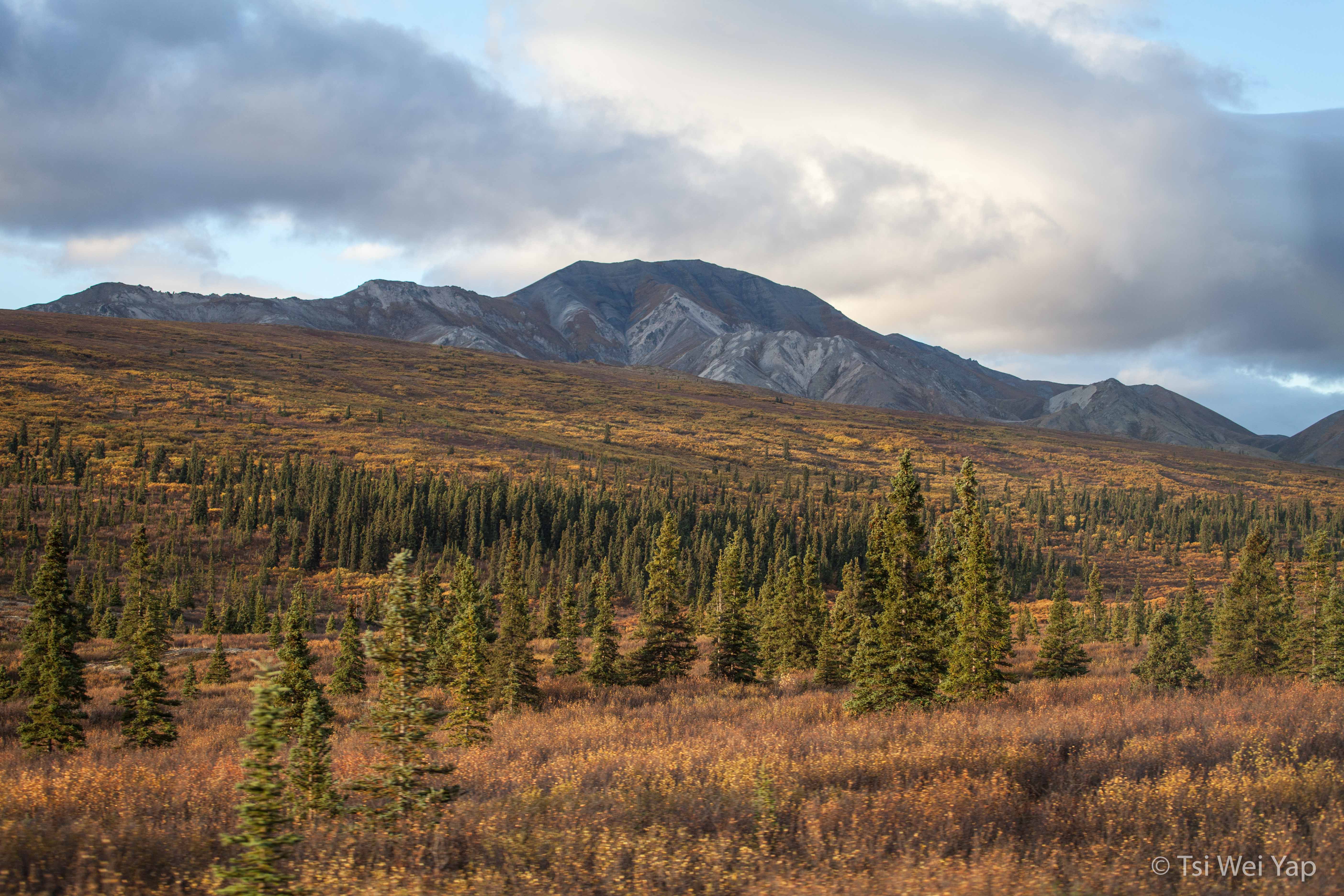 Alaska-1334