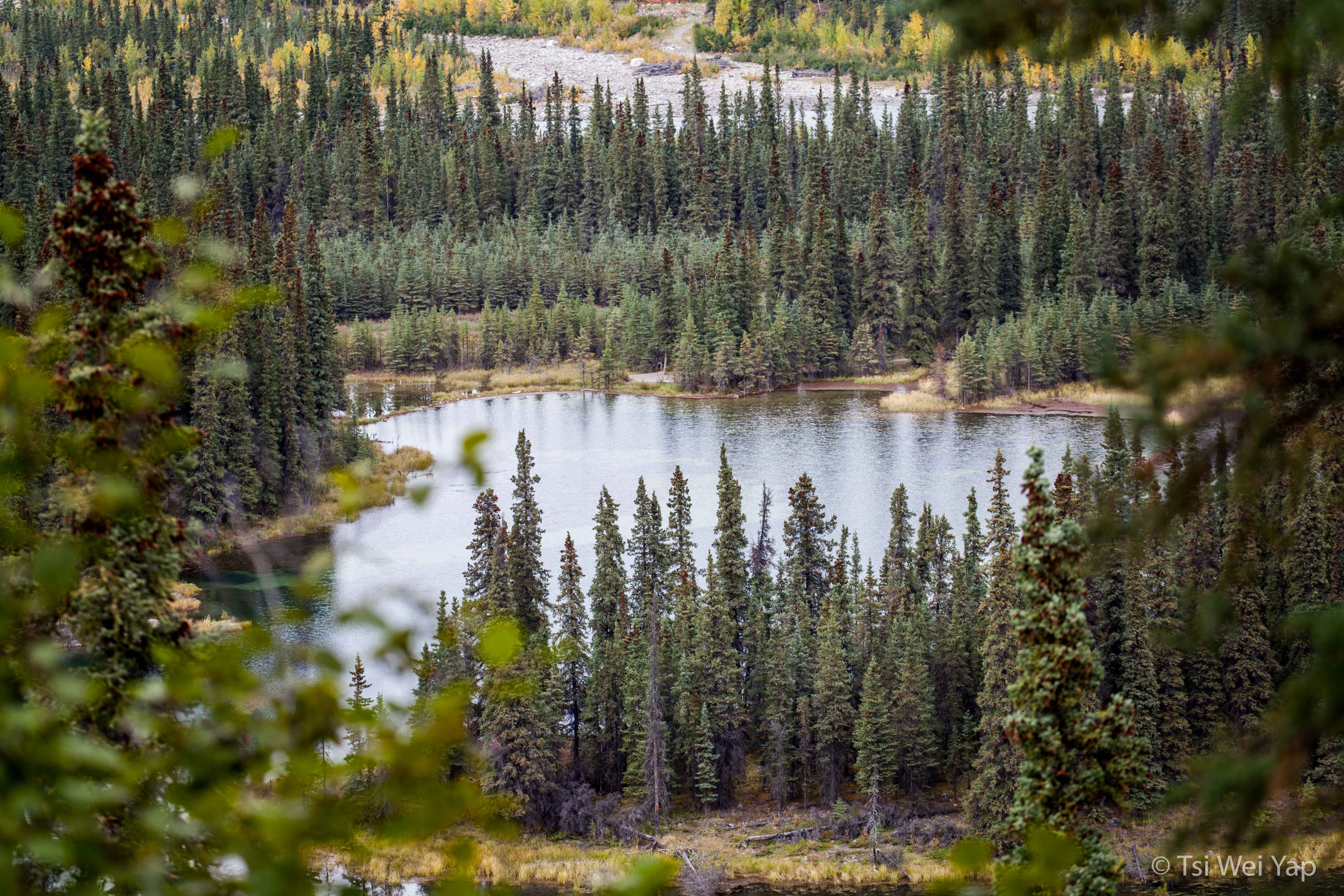 Alaska-34