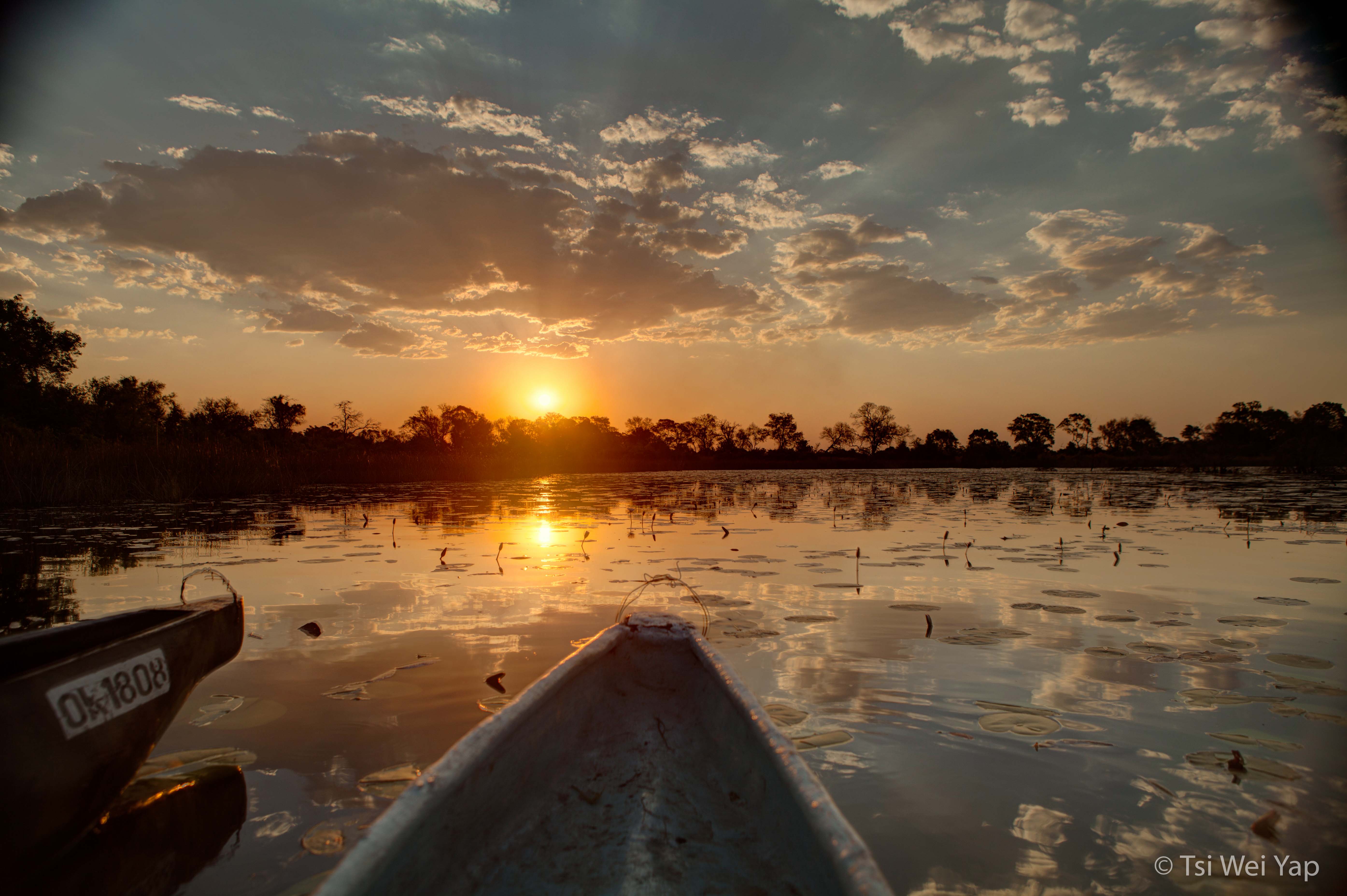 Okavango Delta Sunset
