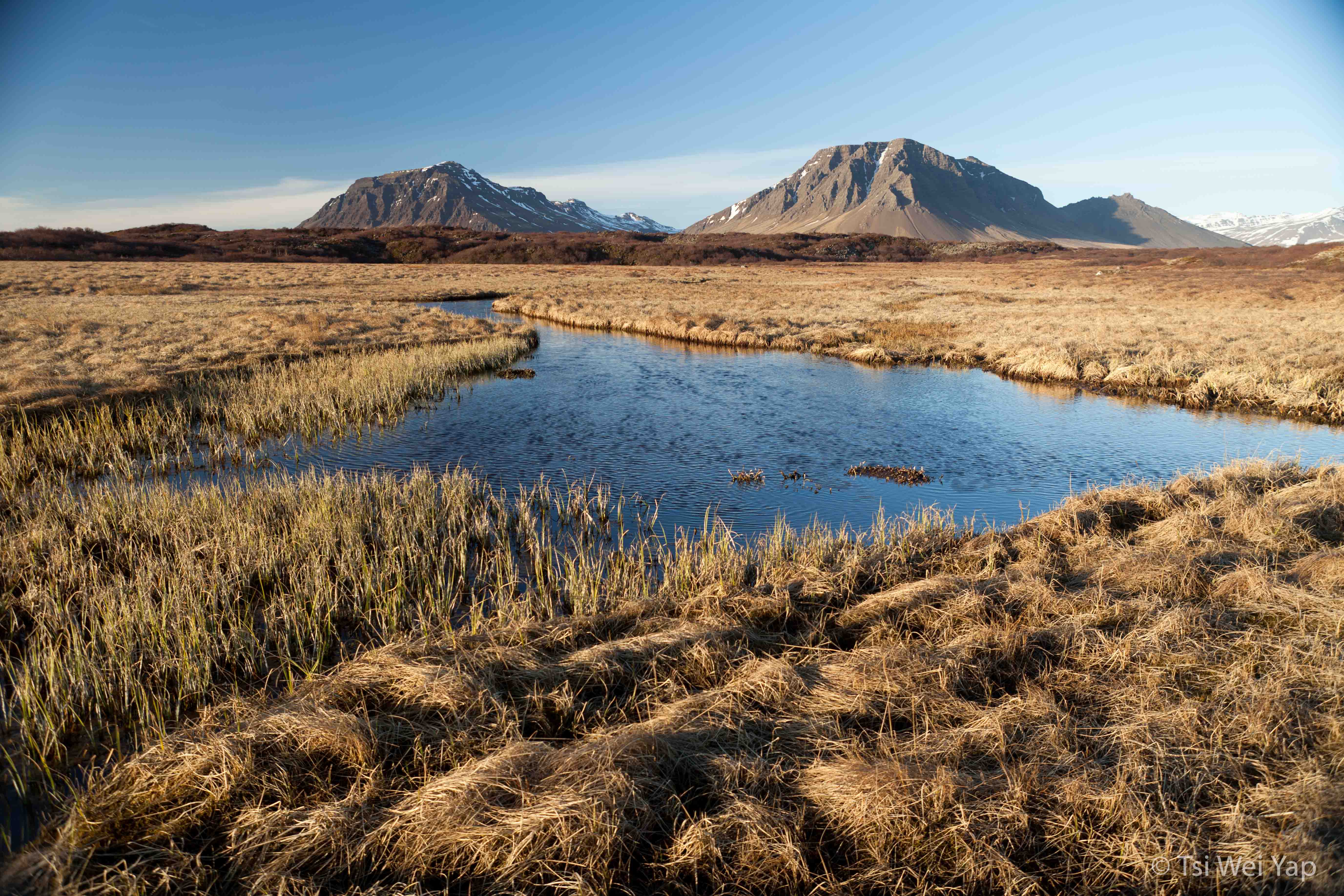 Icelandic West Coast