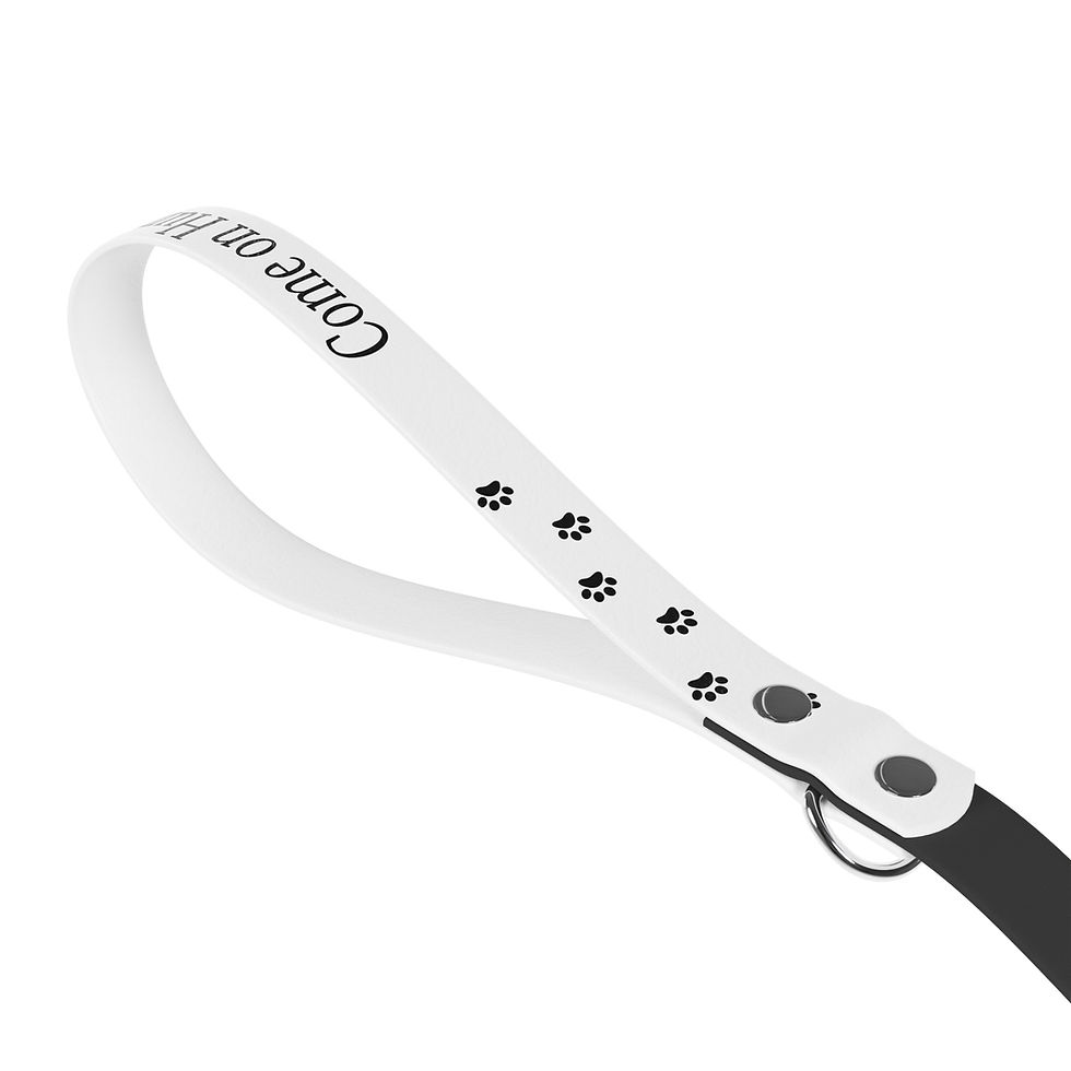 Thumbnail: Stylish Dog Leash - 'We're Walking!' with Paw Prints