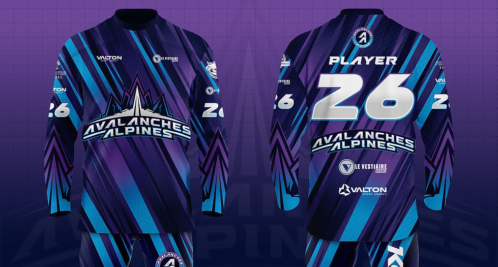 PROJET-AVALANCHES ALPINES-3