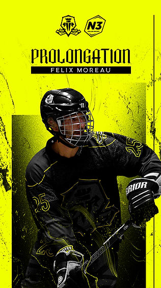 REMPARTS NANTES-PROLONGATION-FELIX MOREAU-V1