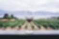 palaciodosvinhos.jpg
