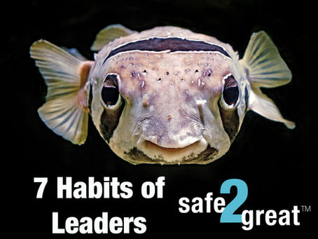 7 Habits of Safe-2-Great Leaders
