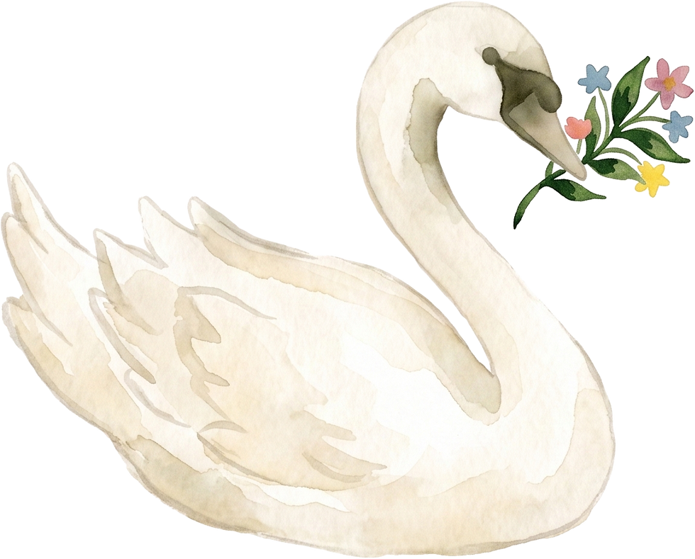 cisne-esquerda.png