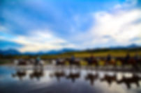 C0D76232-F767-487C-BE67-0A7472A863F1.jpe