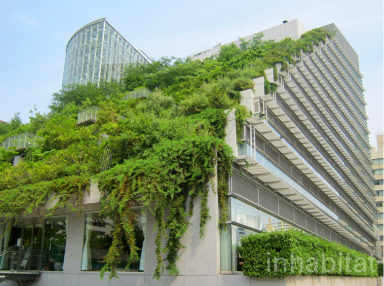 Green Architecture Just Makes Sense