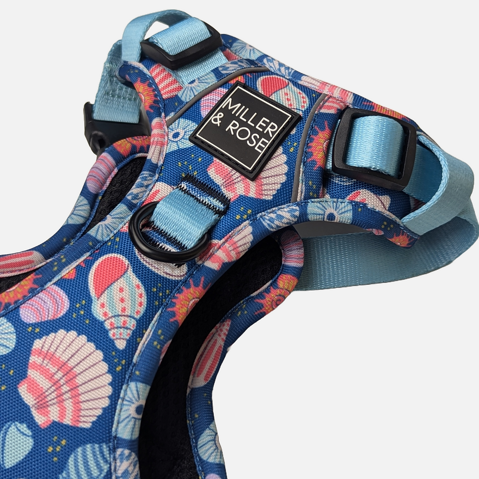 Thumbnail: SEASHELLS - Ruff & Tough Harness