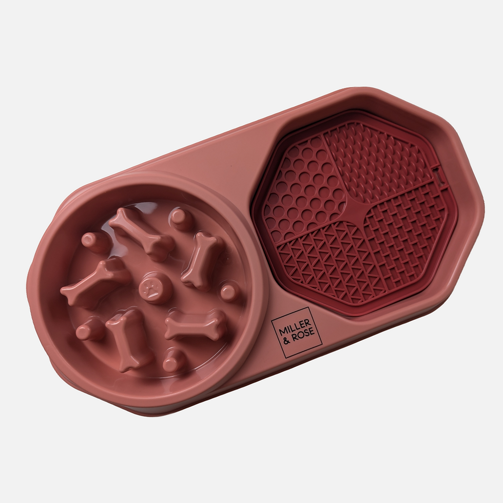 Thumbnail: 4-in-1 Salmon Pink Slow Feeder