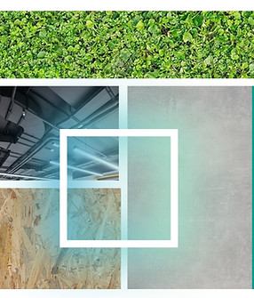 Screenshot (611)_edited.jpg