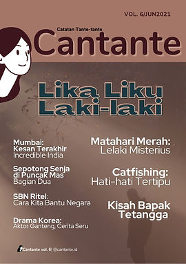 Cantante Vol.6.jpg