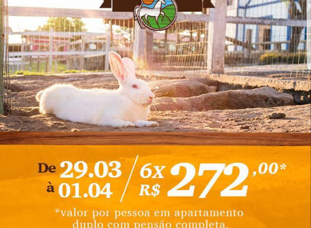 Semana Santa no Hotel Portal de Gravatá