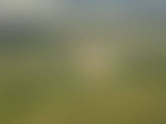 Complexo Eco-turístico Karawa Tã será transformado em Parque de Aventuras em Gravatá