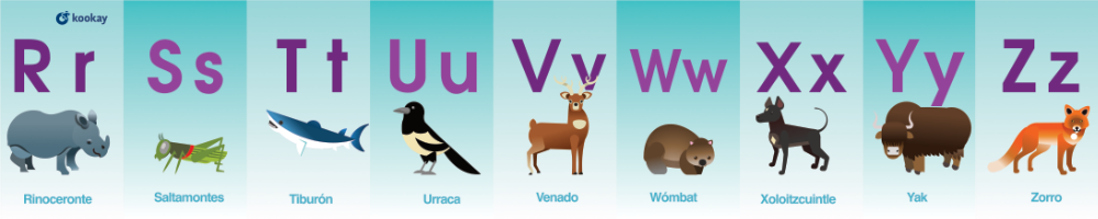 Diseño Lona Abecedario