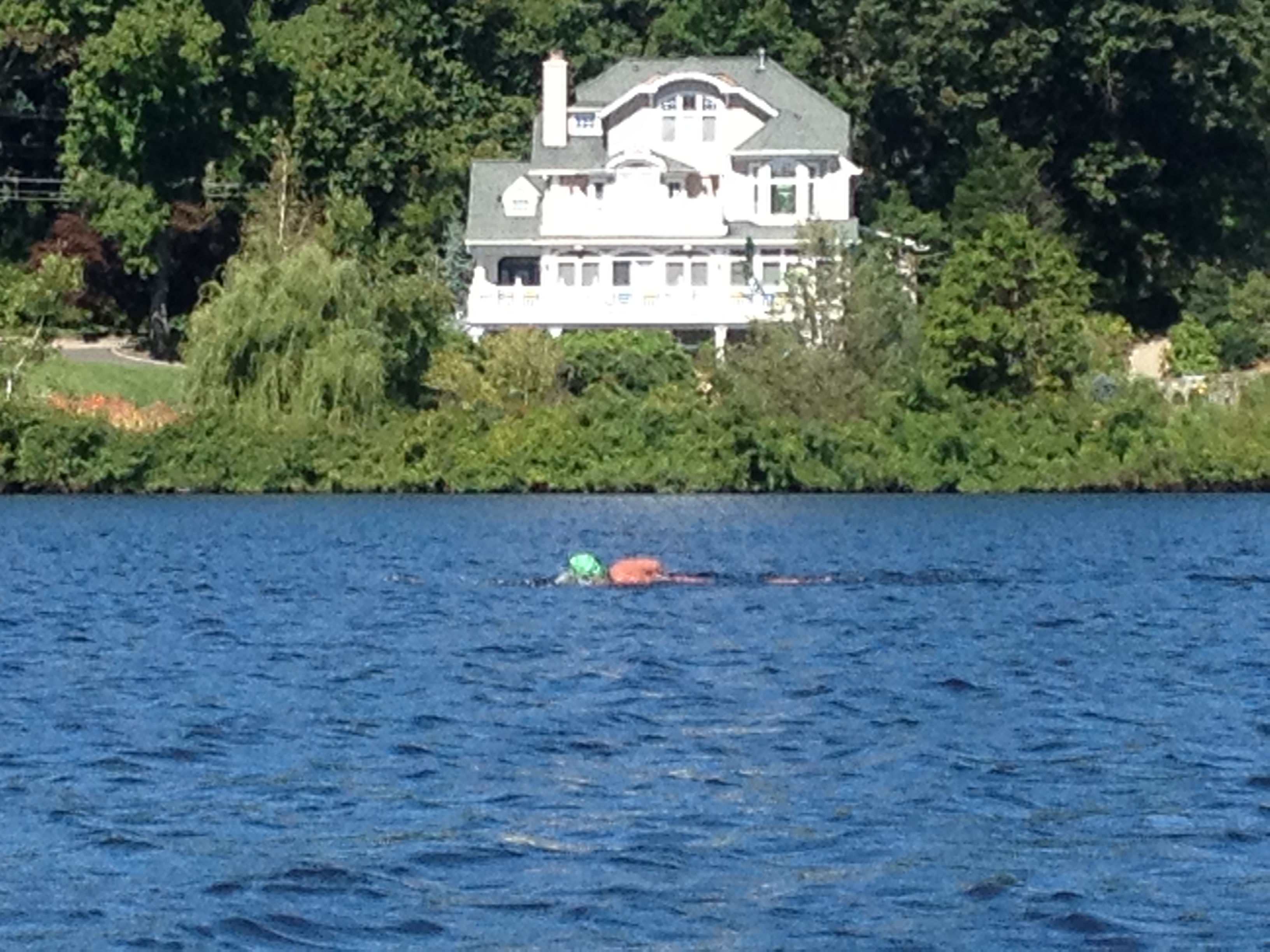Mountain Lake Swimmer