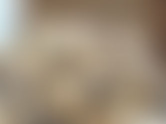 Premium Dried Poppy Pods – High Quality, Untreated, Perfect for Wreaths and Floral Arrangements