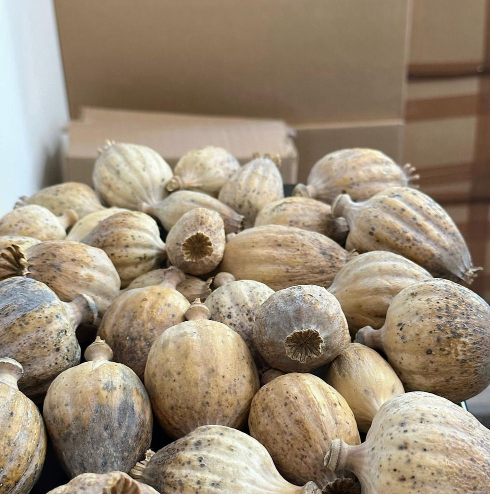 Premium Dried Poppy Pods – High Quality, Untreated, Perfect for Wreaths and Floral Arrangements