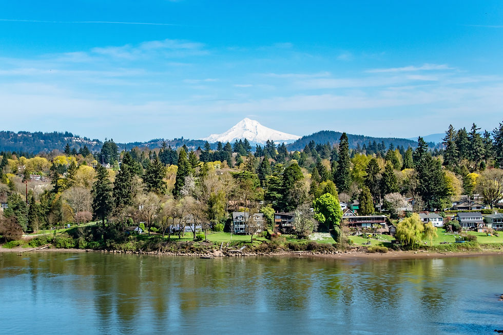 Portland investor consult: a strategy-first plan for returns you can repeat