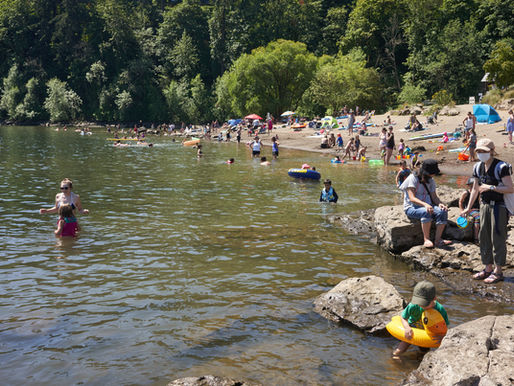 Spring Fever 2026 (Part 1): why the Portland market feels “soft” in the stats—and hot on the street