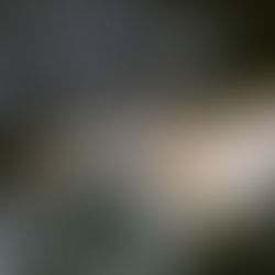 Following the Path of the Witch