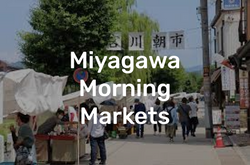 Miyagawa Morning Markets