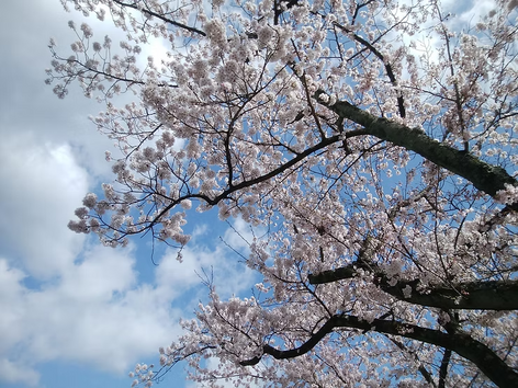 [Essay] The Inheritance and Development of Soka Faith Studies (Research Fellow Kenichi Miura)